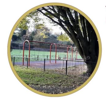 Town Meadow play equipment survey