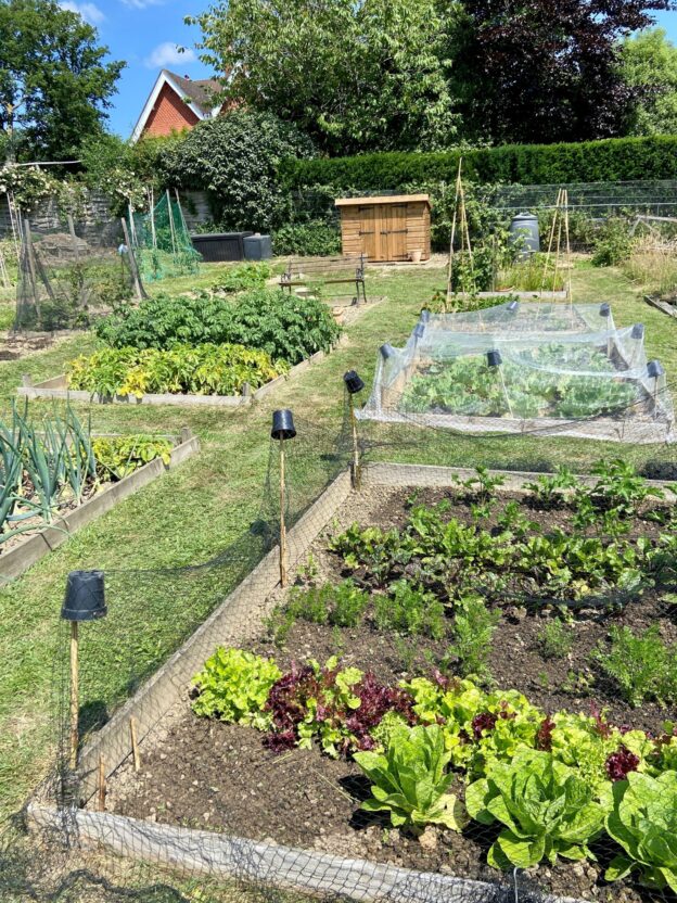 Clammer Hill Allotments